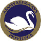 Gold Member Pin