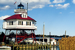 Local Tours