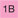 1B