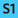 S1