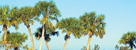 Florida Cruises on American Glory