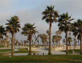 Venice Beach