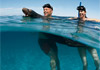 Mexico Cruises