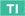 T1