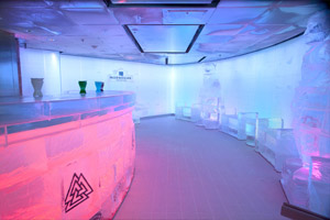 SVEDKA Ice Bar
