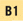 B1