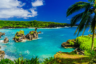 Christmas Cruises to Hawaii