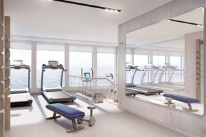 The Gym