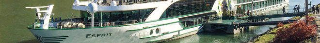ms Esprit