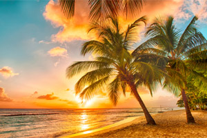 Book the perfect vacation with a Travel Agency